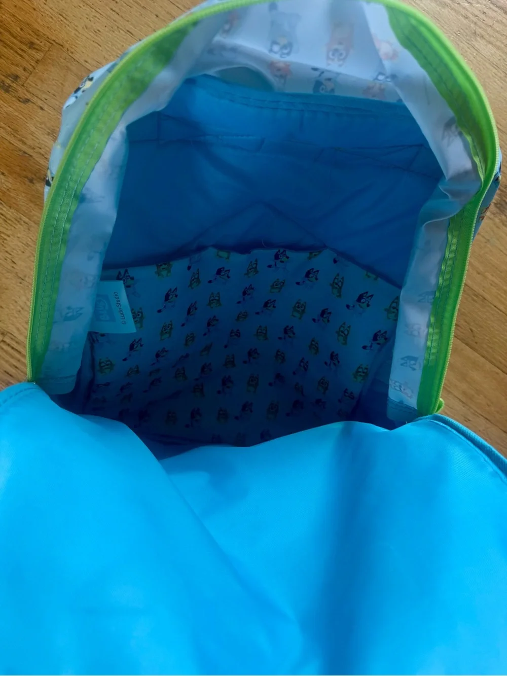 Blue & Green Kids Backpack with Cartoon Characters